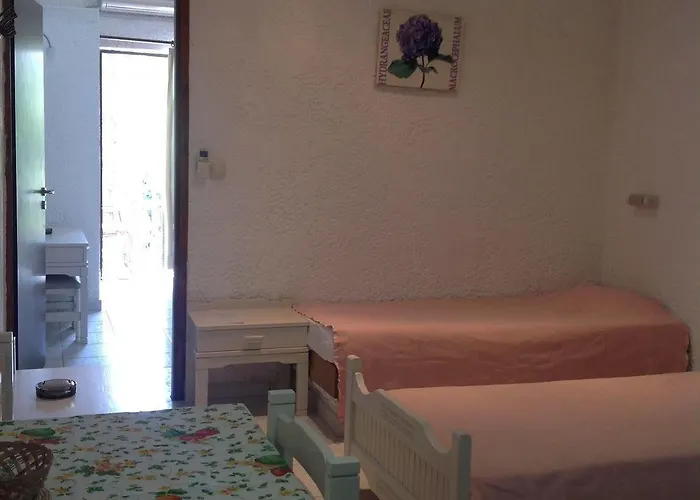 Nontas Apartament